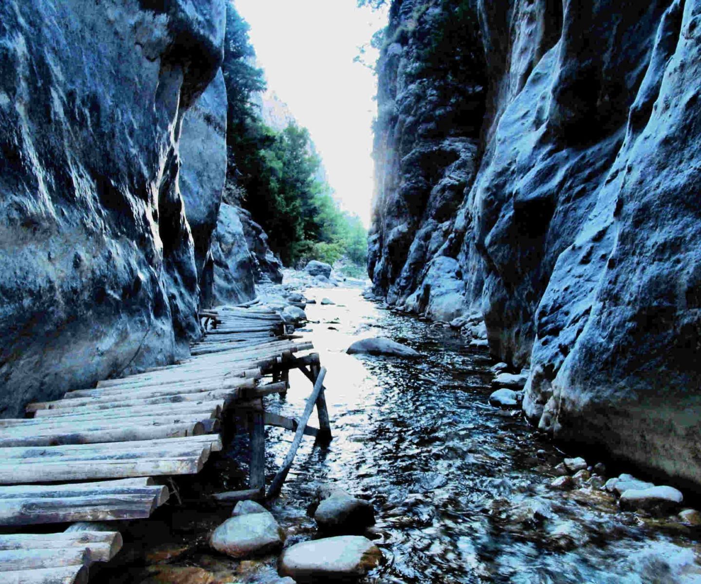 SAMARIA GORGE
